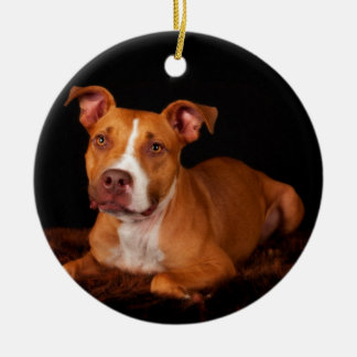 The Sweet Pitty Ceramic Tree Decoration