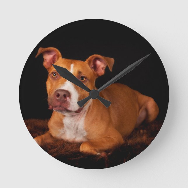 The Sweet Pitty Round Clock (Front)