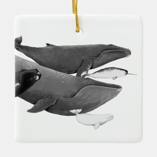 The Swim Of Whales Illustration Art Whale    Ceramic Ornament (Front)