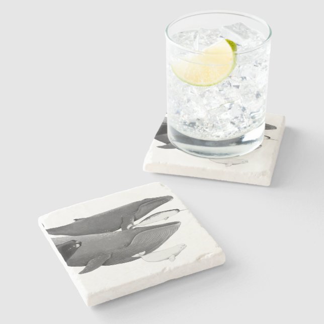 The Swim Of Whales Illustration Art Whale White  Stone Coaster (Side)
