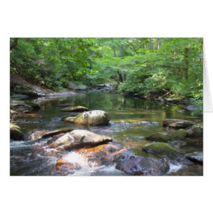 The Swimming Hole 032