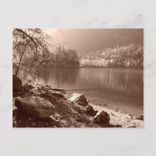 The Swimming Hole Postcard