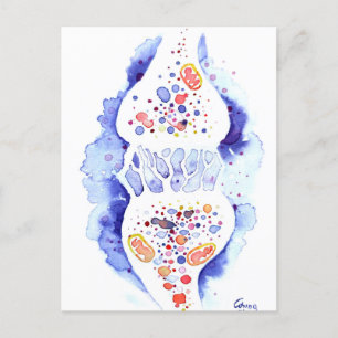 The synapse and the nerve impulse canvas print jig postcard
