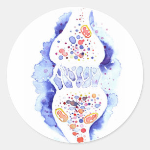 The synapse and the nerve impulse canvas print rou classic round sticker