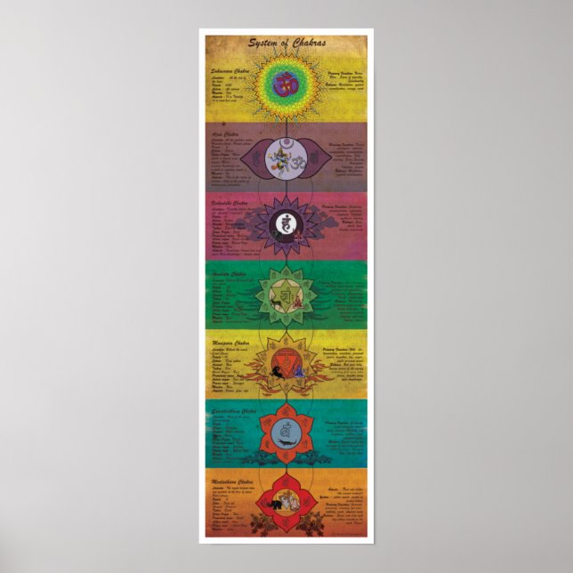 The System Of Chakras Poster (Front)