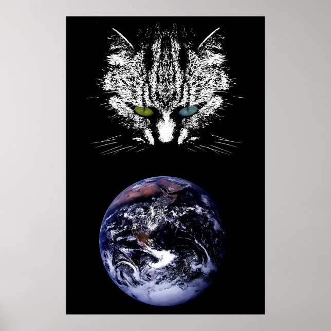 The Tabby Cat - Master of the Universe Poster (Front)