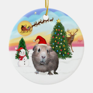 The Take Off - Guinea Pig #2 Ceramic Tree Decoration