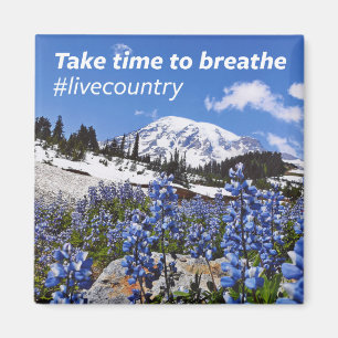 The Take Time to Breathe Magnet