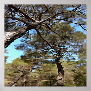 The Tangled Webs Of Trees Poster