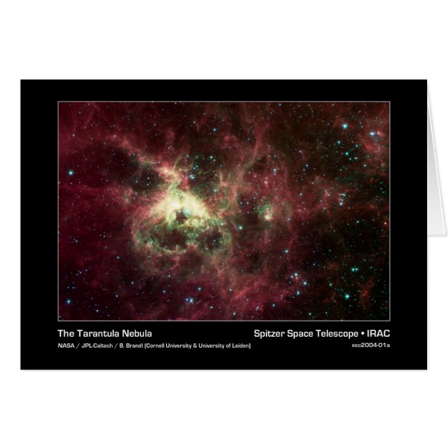 The Tarantula Nebula – Spitzer Space Telescope – I (Front Horizontal)