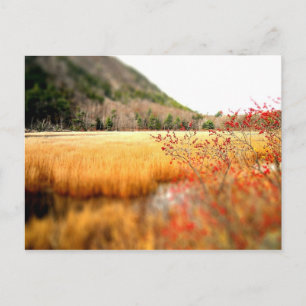 The Tarn Postcard