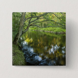 The Taunton River in Bridgewater, 15 Cm Square Badge