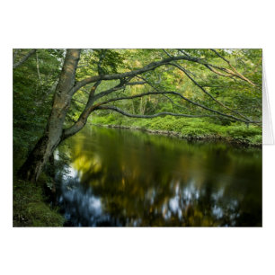 The Taunton River in Bridgewater, 2
