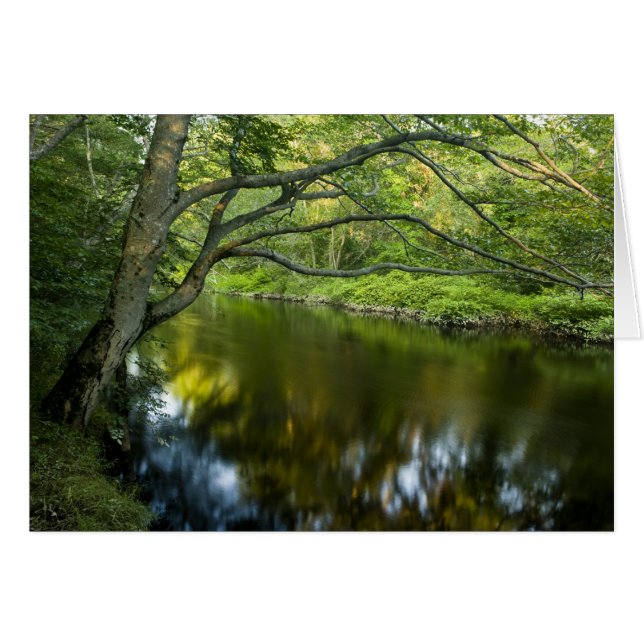 The Taunton River in Bridgewater, 2 (Front Horizontal)