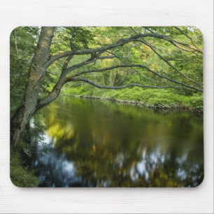 The Taunton River in Bridgewater, 2 Mouse Mat