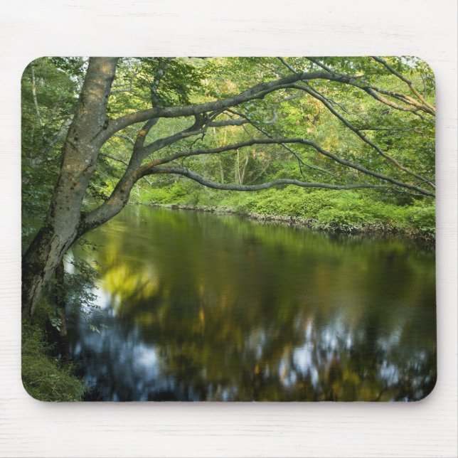The Taunton River in Bridgewater, 2 Mouse Mat (Front)