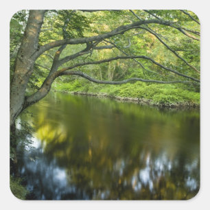The Taunton River in Bridgewater, 2 Square Sticker