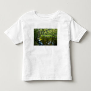 The Taunton River in Bridgewater, 2 Toddler T-Shirt