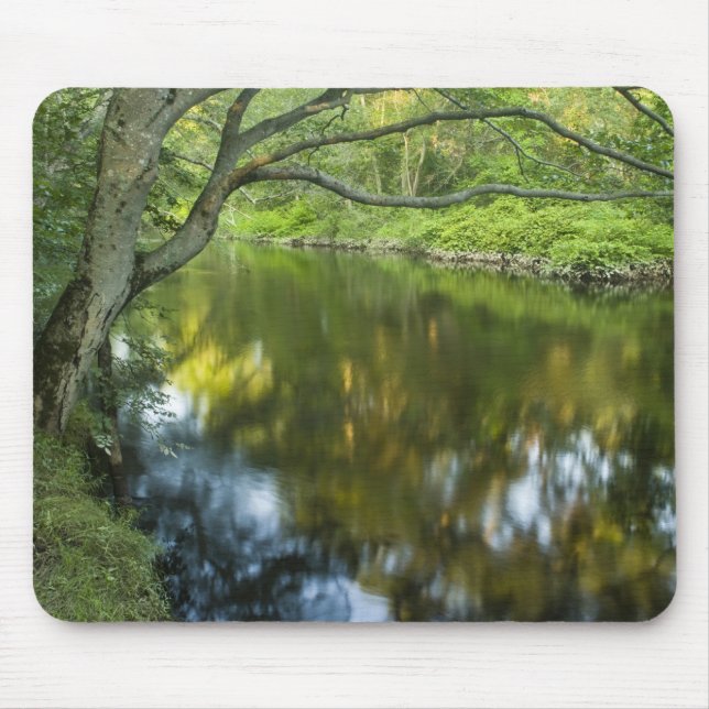 The Taunton River in Bridgewater, Mouse Mat (Front)