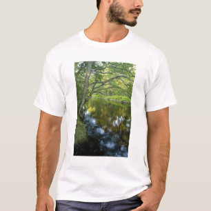 The Taunton River in Bridgewater, T-Shirt