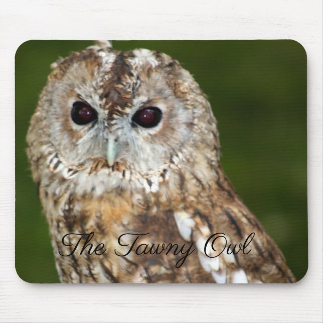 The Tawny Owl Mouse Mat (Front)