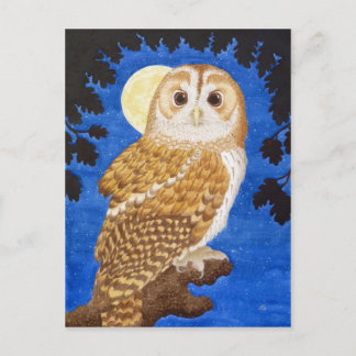 The Tawny Owl Postcard