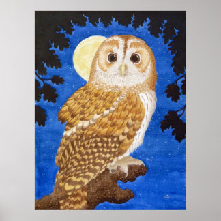The Tawny Owl Poster