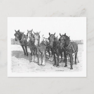 The Team Postcard