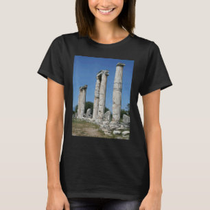 The Temple Of Aphrodite Ruins Of Aphrodisias Turki T-Shirt