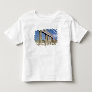The Temple of Apollo Toddler T-Shirt