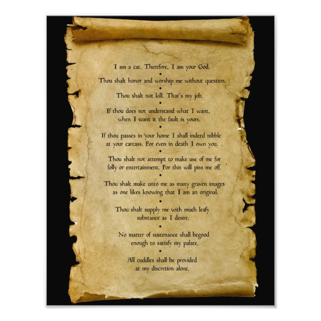 The Ten Commandments of The Cat Photo Print (Front)