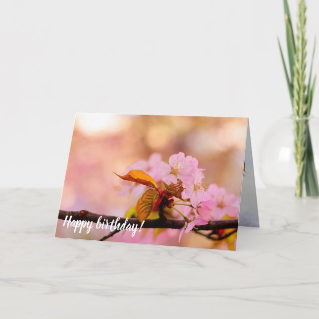 The Tender Warmth Of Sakura Flowers In Spring Card (Front)