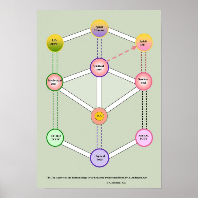 The Tenfold human being Poster (Front)