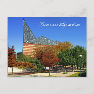 The Tennessee Aquarium - Chattanooga, TN. Postcard