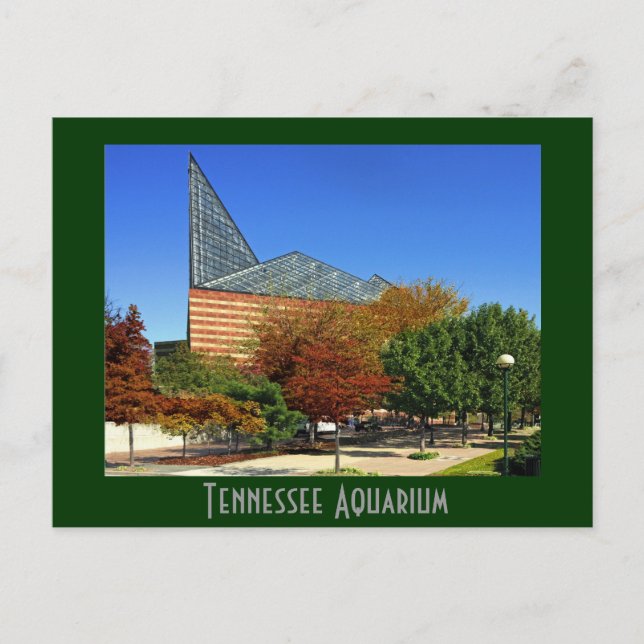 The Tennessee Aquarium - Chattanooga, TN. Postcard (Front)