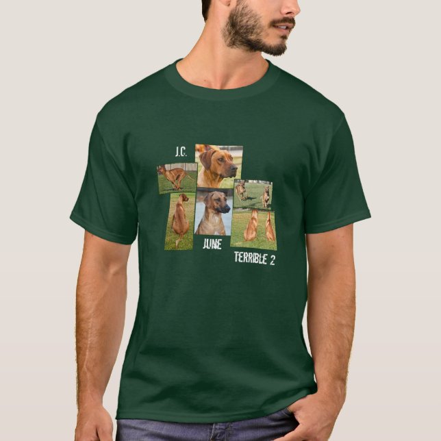The Terrible Two T-Shirt (Front)
