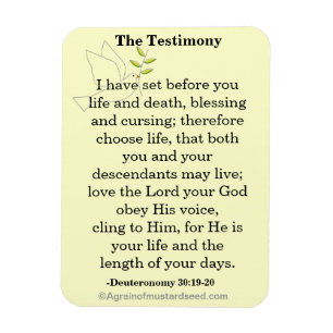 The Testimony Scripture Magnet