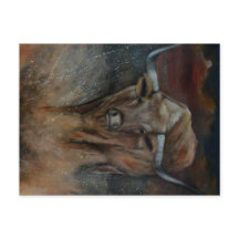 The Texas Longhorn Bull