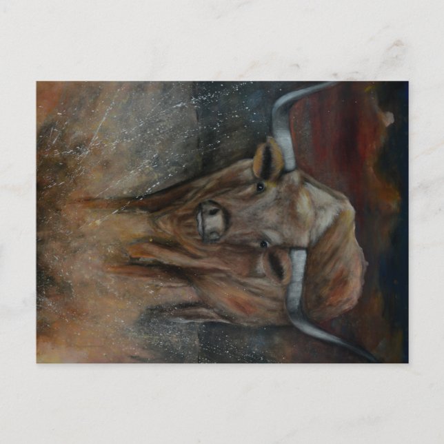 The Texas Longhorn Bull Postcard (Front)