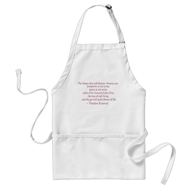 The things that will destroy America..... Standard Apron (Front)