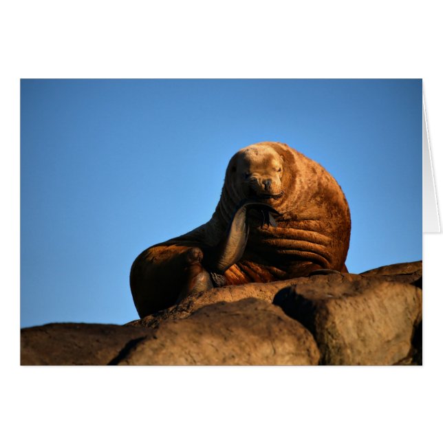 The Thinker (Front Horizontal)