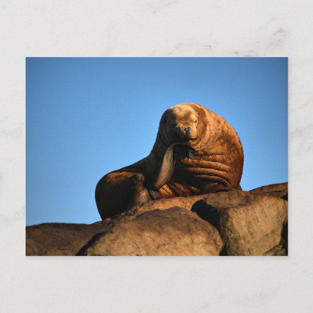 The Thinker Postcard (Front)