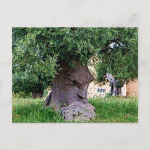 The Thinking Tree in Pugia Postcard