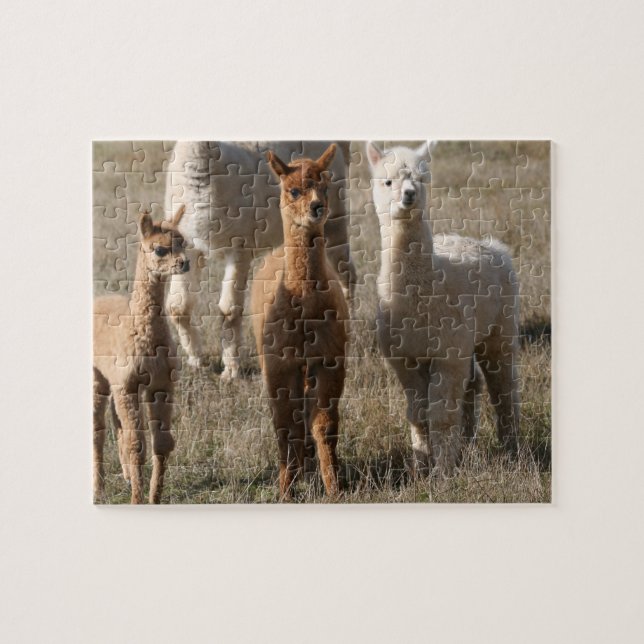 The Three Amigos, Alpaca-Style Jigsaw Puzzle (Horizontal)