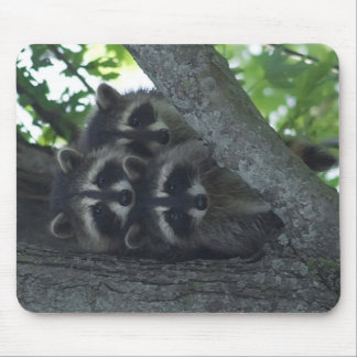 The Three Amigos Mouse Mat