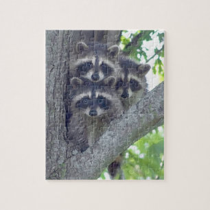 The Three Amigos Puzzle