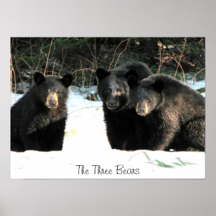 The Three Bears, The Three Bears Poster