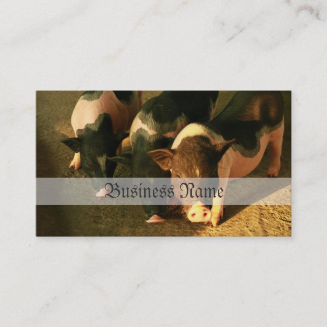 The Three Little Pigs Business Card (Front)