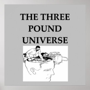 the three pound universe poster