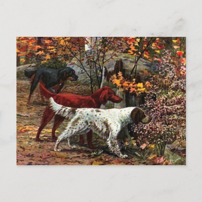 The Three Setters Postcard (Front)